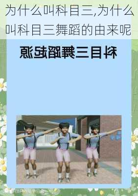 为什么叫科目三,为什么叫科目三舞蹈的由来呢