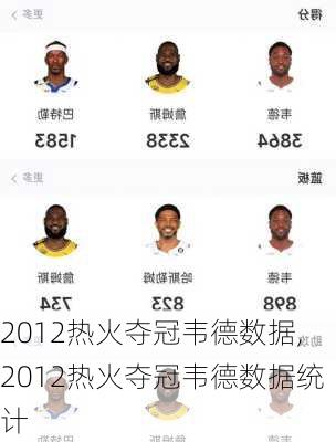 2012热火夺冠韦德数据,2012热火夺冠韦德数据统计