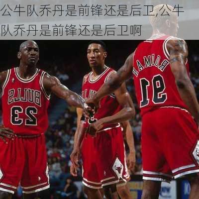 公牛队乔丹是前锋还是后卫,公牛队乔丹是前锋还是后卫啊