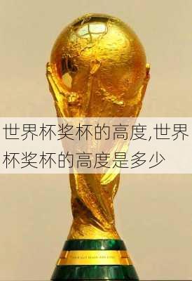 世界杯奖杯的高度,世界杯奖杯的高度是多少