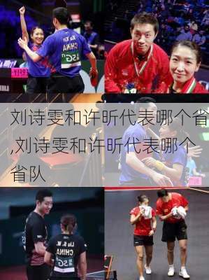 刘诗雯和许昕代表哪个省,刘诗雯和许昕代表哪个省队