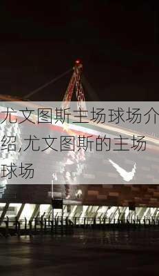 尤文图斯主场球场介绍,尤文图斯的主场球场