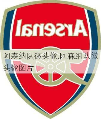 阿森纳队徽头像,阿森纳队徽头像图片