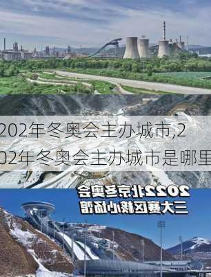 202年冬奥会主办城市,202年冬奥会主办城市是哪里