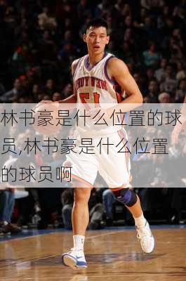 林书豪是什么位置的球员,林书豪是什么位置的球员啊