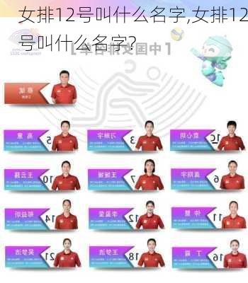 女排12号叫什么名字,女排12号叫什么名字?