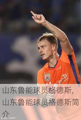 山东鲁能球员格德斯,山东鲁能球员格德斯简介