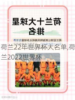 荷兰22年世界杯大名单,荷兰2022世界杯