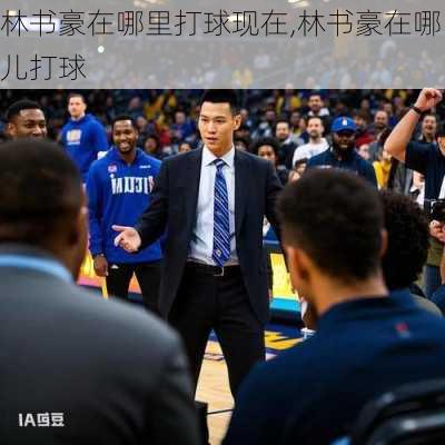林书豪在哪里打球现在,林书豪在哪儿打球