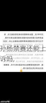 孙杨禁赛还能上诉吗,
