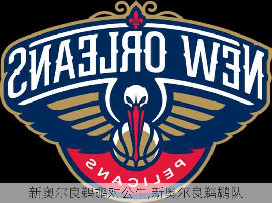新奥尔良鹈鹕对公牛,新奥尔良鹈鹕队