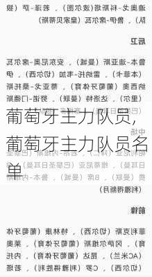葡萄牙主力队员,葡萄牙主力队员名单
