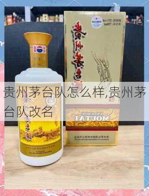 贵州茅台队怎么样,贵州茅台队改名