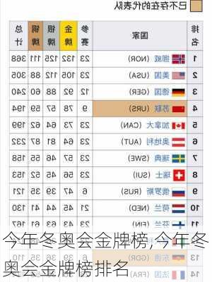 今年冬奥会金牌榜,今年冬奥会金牌榜排名