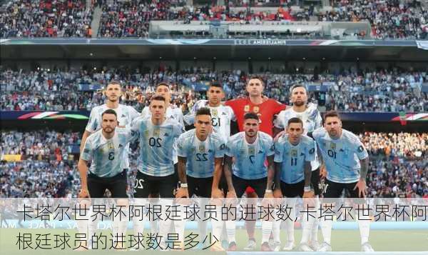 卡塔尔世界杯阿根廷球员的进球数,卡塔尔世界杯阿根廷球员的进球数是多少
