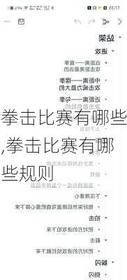 拳击比赛有哪些,拳击比赛有哪些规则