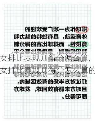 女排比赛规则得分怎么算,女排比赛规则得分怎么算的
