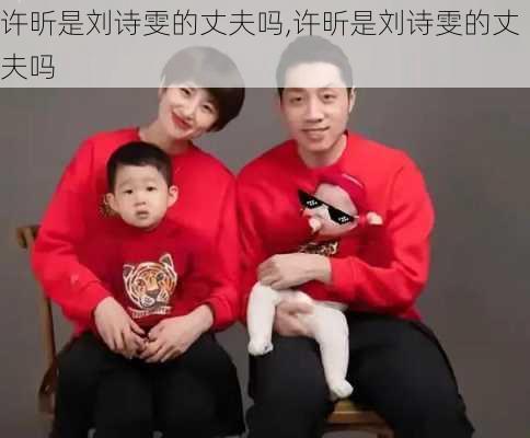 许昕是刘诗雯的丈夫吗,许昕是刘诗雯的丈夫吗
