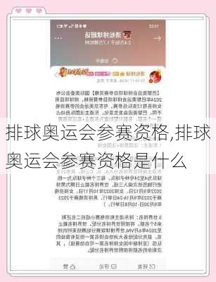 排球奥运会参赛资格,排球奥运会参赛资格是什么