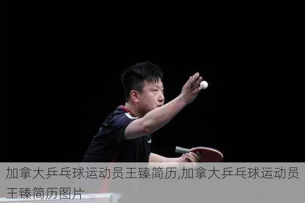 加拿大乒乓球运动员王臻简历,加拿大乒乓球运动员王臻简历图片