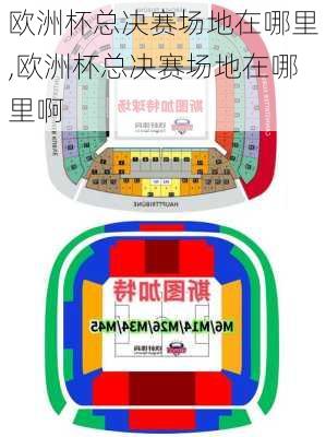 欧洲杯总决赛场地在哪里,欧洲杯总决赛场地在哪里啊
