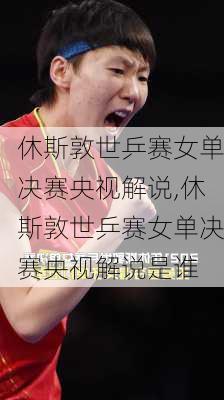 休斯敦世乒赛女单决赛央视解说,休斯敦世乒赛女单决赛央视解说是谁