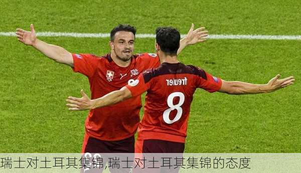 瑞士对土耳其集锦,瑞士对土耳其集锦的态度
