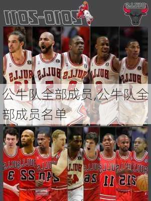 公牛队全部成员,公牛队全部成员名单