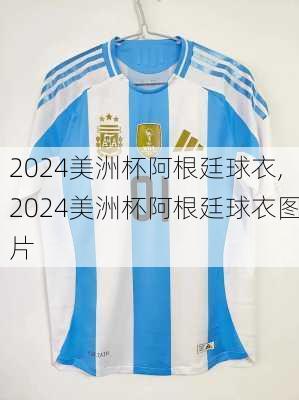 2024美洲杯阿根廷球衣,2024美洲杯阿根廷球衣图片