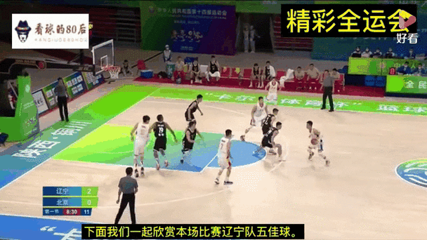 北京vs辽宁总决赛数据,北京vs辽宁总决赛数据分析