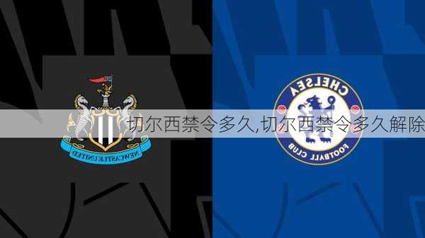 切尔西禁令多久,切尔西禁令多久解除