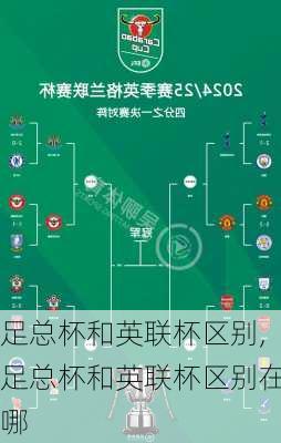 足总杯和英联杯区别,足总杯和英联杯区别在哪