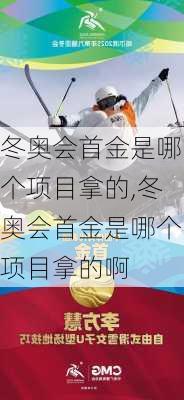 冬奥会首金是哪个项目拿的,冬奥会首金是哪个项目拿的啊