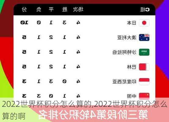 2022世界杯积分怎么算的,2022世界杯积分怎么算的啊