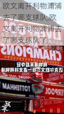 欧文离开利物浦浦去了哪支球队,欧文离开利物浦浦去了哪支球队了