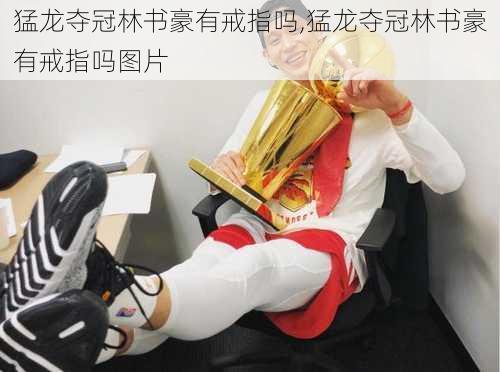 猛龙夺冠林书豪有戒指吗,猛龙夺冠林书豪有戒指吗图片