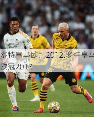 多特皇马欧冠2012,多特皇马欧冠2013