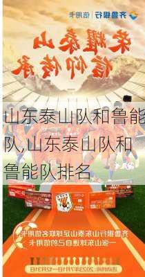 山东泰山队和鲁能队,山东泰山队和鲁能队排名