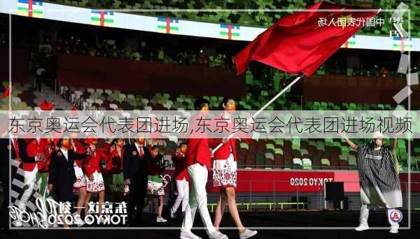 东京奥运会代表团进场,东京奥运会代表团进场视频