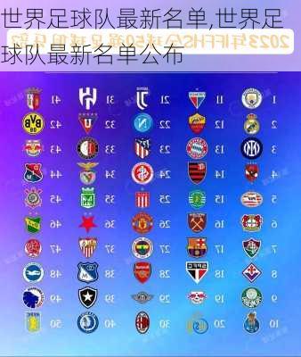世界足球队最新名单,世界足球队最新名单公布
