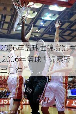 2006年篮球世锦赛冠军,2006年篮球世锦赛冠军是谁