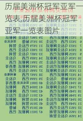 历届美洲杯冠军亚军一览表,历届美洲杯冠军亚军一览表图片