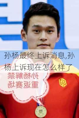 孙杨最终上诉消息,孙杨上诉现在怎么样了