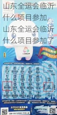 山东全运会临沂什么项目参加,山东全运会临沂什么项目参加了