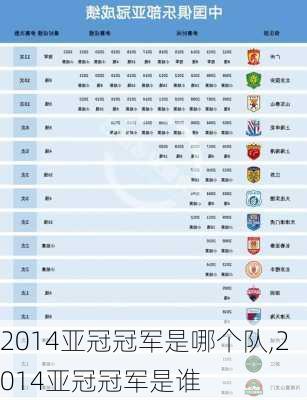 2014亚冠冠军是哪个队,2014亚冠冠军是谁