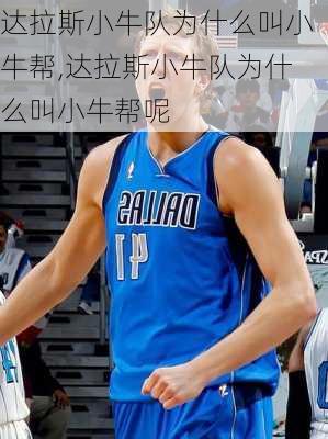 达拉斯小牛队为什么叫小牛帮,达拉斯小牛队为什么叫小牛帮呢
