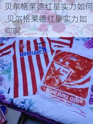 贝尔格莱德红星实力如何,贝尔格莱德红星实力如何啊