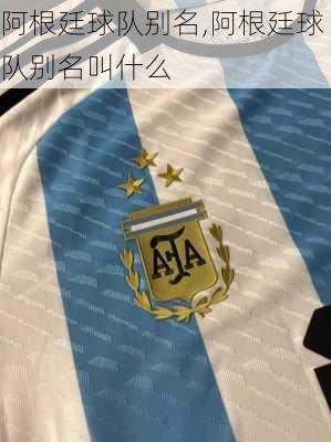 阿根廷球队别名,阿根廷球队别名叫什么