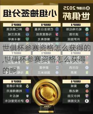 世俱杯参赛资格怎么获得的,世俱杯参赛资格怎么获得的啊