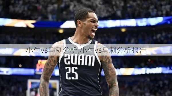 小牛vs马刺分析,小牛vs马刺分析报告